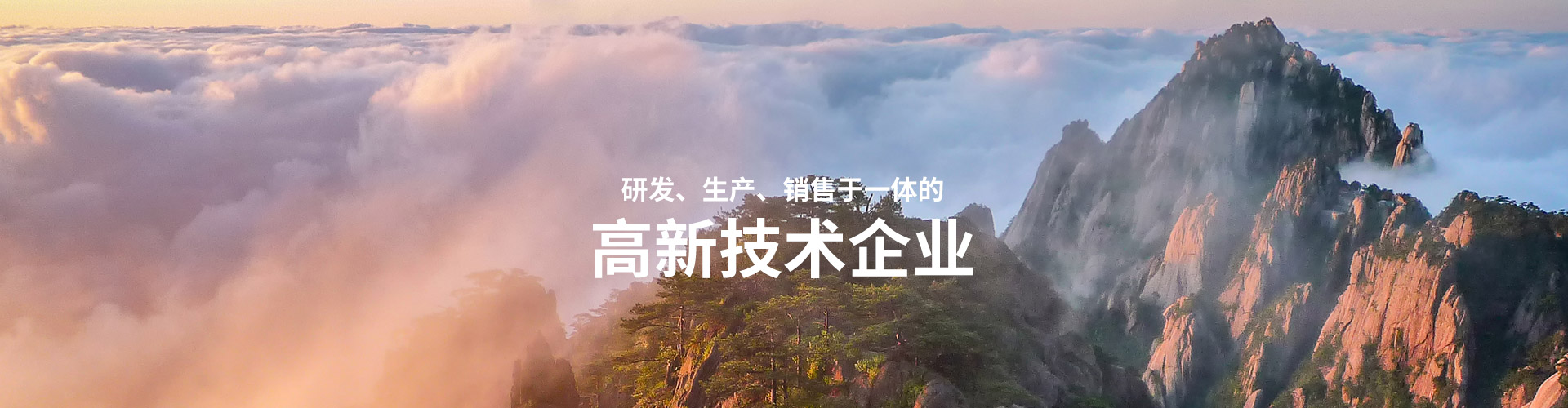 公司簡(jiǎn)介